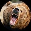 theangrybears